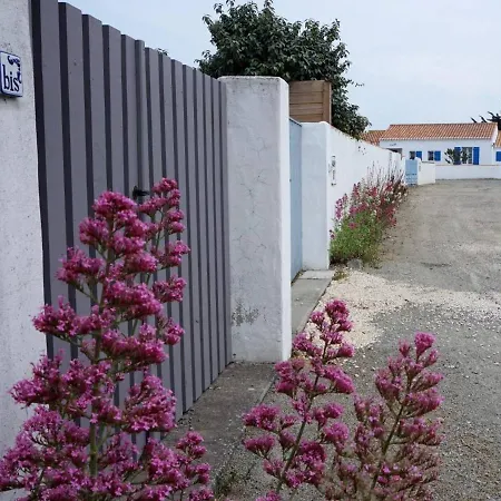 Maison De Plain-pied Avec Cour, Proche Et Commerces - 4 Couchages, - Fr-1-224b-675