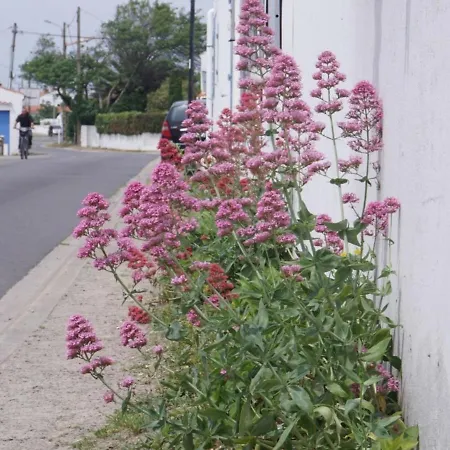 Casa vacanze Maison De Plain-pied Avec Cour, Proche Et Commerces - 4 Couchages, - Fr-1-224b-675 *